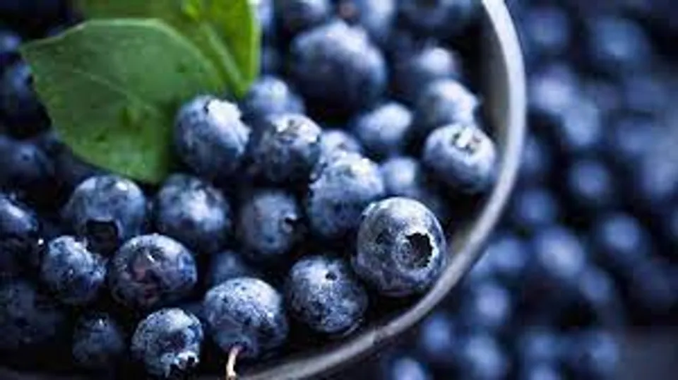 ബ്ലൂബെറിയുടെ ആരോ​ഗ്യ ഗുണങ്ങള്‍ എന്തൊക്കെയാണെന്ന് നോക്കാം...