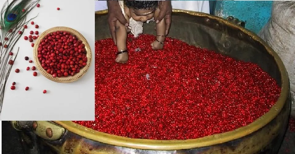ഗുരുവായൂര്‍ ക്ഷേത്രത്തിലെ മഞ്ചാടി വാരിയിടലിന് പിന്നിലെ ഐതീഹ്യം