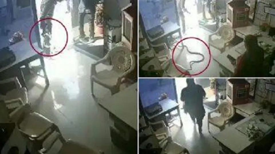 കുപ്പിയില്‍ പെട്രോള്‍ നല്‍കിയില്ല; പ്രകോപിതനായ യുവാവ് കുപ്പിയിലുണ്ടായിരുന്ന പാമ്പിനെ പമ്പില്‍ തുറന്നുവിട്ടു; വീഡിയോ