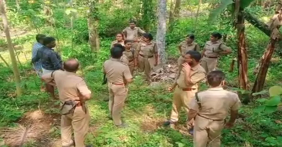 കൊല്ലത്ത് ആയൂർ മേഖലയിൽ വീണ്ടും കാട്ടുപോത്തിന്‍റെ സാന്നിധ്യമെന്ന് സംശയം, കാൽപ്പാടുകൾ കണ്ടെത്തി