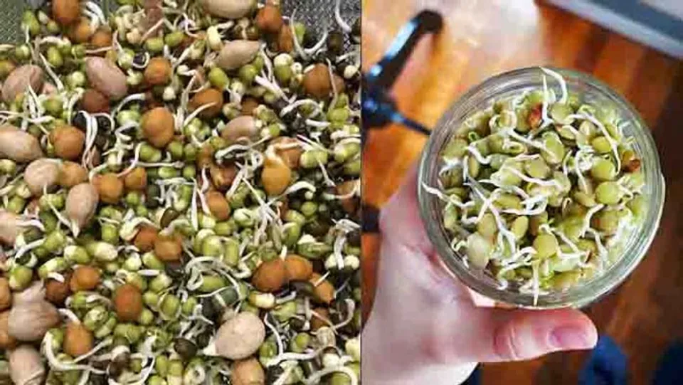 മുളപ്പിച്ച പയറുവര്‍ഗങ്ങള്‍ കഴിക്കേണ്ടത് ഇങ്ങനെ