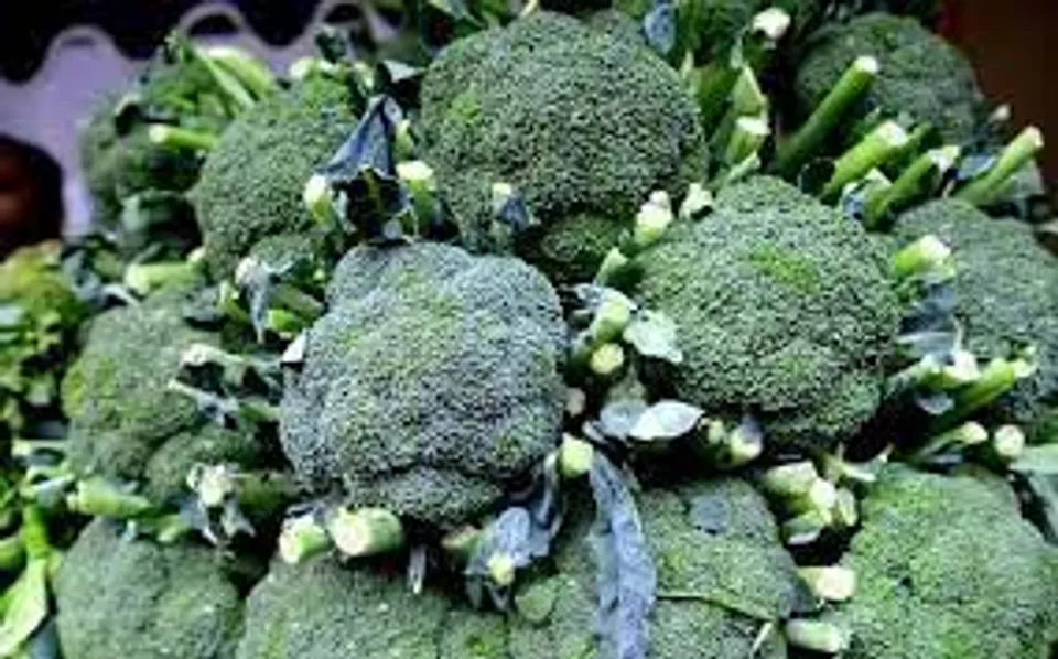 ബ്രൊക്കോളി കൊണ്ട് കിടിലനൊരു സ്മൂത്തി ; റെസിപ്പി