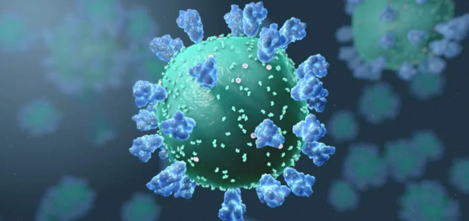 കൂടുതല്‍ വ്യാപനശേഷിയുള്ള കൊറോണ വൈറസിന്റെ പുതിയ വകഭേദം മാര്‍ച്ച് മാസത്തോടെ അമേരിക്കയില്‍ പടര്‍ന്നുപിടിക്കുമെന്ന് മുന്നറിയിപ്പ്‌