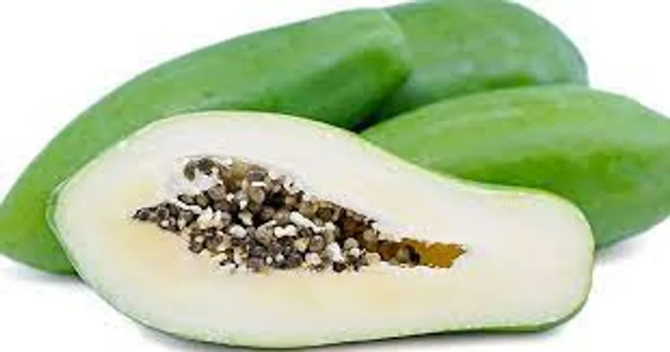 ആസ്ത്മ, ഓസ്റ്റിയോ ആർത്രൈറ്റിസ്, സന്ധിവാതം, റൂമറ്റോയ്ഡ് ആർത്രൈറ്റിസ് എന്നിവയുള്ള രോഗികൾക്ക് ഗുണം;പച്ച പപ്പായുടെ ആരോ​ഗ്യ ​ഗുണങ്ങൾ ഇതൊക്കെയാണ്..