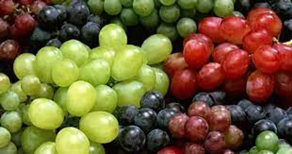 പൊണ്ണത്തടി, കുറഞ്ഞ ശാരീരിക വ്യായാമം, ഉയർന്ന ഗ്ലൈസെമിക് ഇൻഡക്സ്  എന്നിവ ടൈപ്പ് 2 പ്രമേഹത്തിന്റെ വികാസത്തിലെ പ്രധാന ഘടകങ്ങളാണ്; ടെെപ്പ് 2 പ്രമേഹമുള്ളവർക്ക് മുന്തിരി കഴിക്കാമോ?