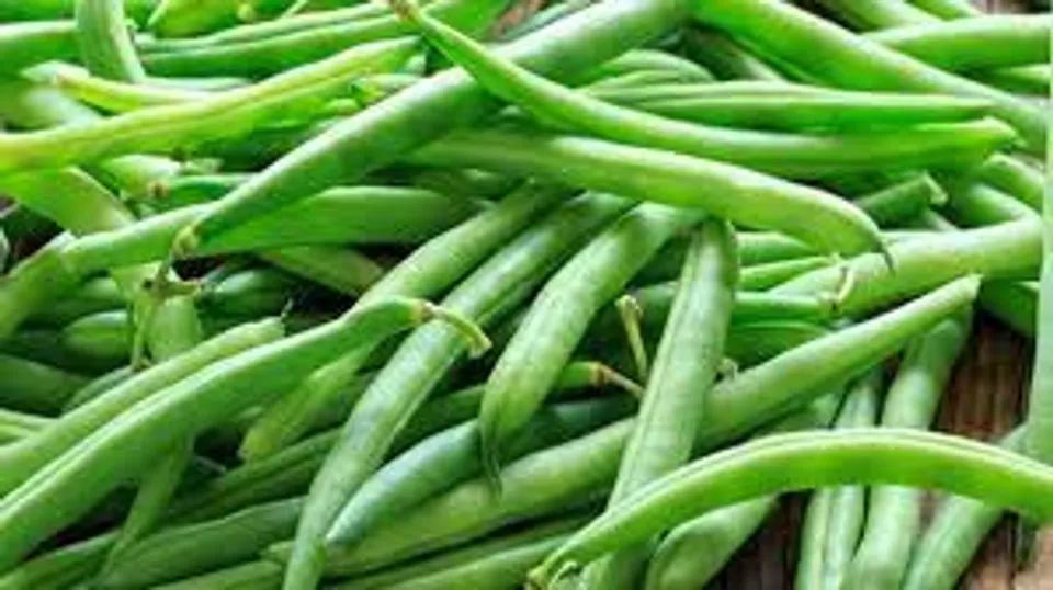 പച്ചനിറത്തിലെ പച്ചക്കറികൾ കഴിക്കുന്നത് പ്രമേഹത്തെ നിയന്ത്രിക്കാൻ സഹായിക്കുമെന്ന് വിദ​ഗ്ധർ