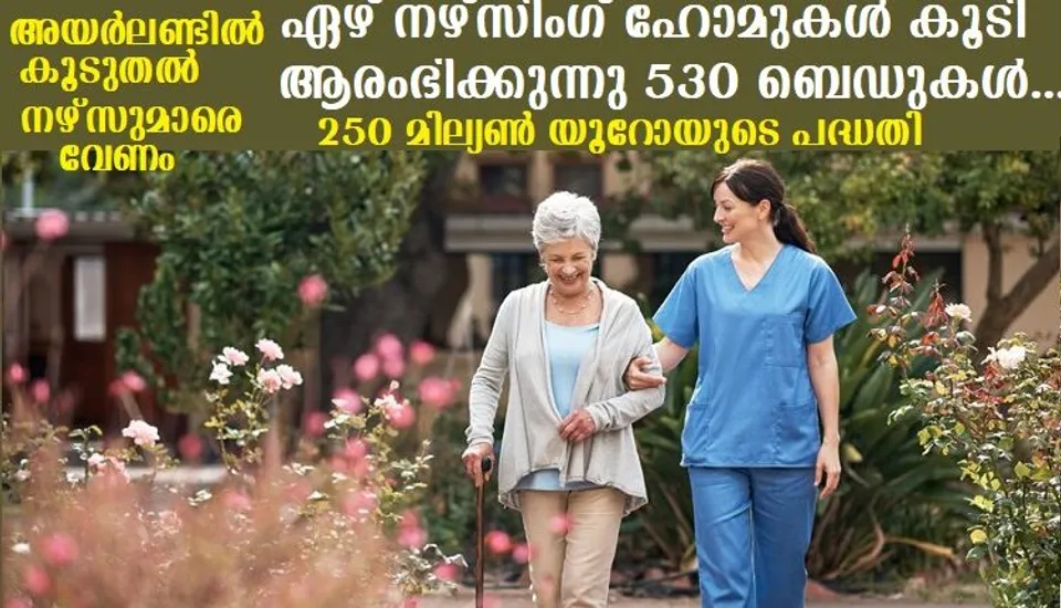 അയര്‍ലണ്ടിലെ നഴ്സിംഗ് ഹോമുകളെ സഹായിക്കുന്നതിന് പ്രൈവറ്റ് -പബ്ലിക് പങ്കാളിത്ത പദ്ധതി വരുന്നു
