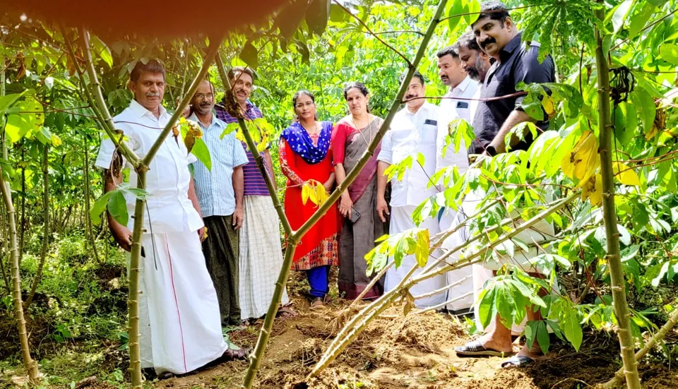 രാമപുരം എഴാച്ചേരിയിൽ കാട്ടുപന്നി നാശനഷ്ടം വരുത്തിയ സ്ഥലങ്ങൾ കേരളാ കോൺഗ്രസ് (എം) നേതാക്കൾെ സന്ദർശിച്ചു