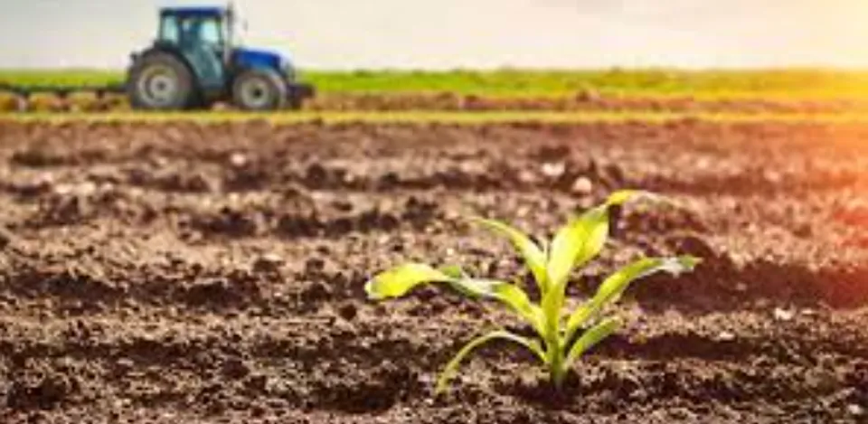 കാർഷിക ഉൽപന്നങ്ങളുടെ വിളവ് ഉയർത്തുന്നതിനും മികച്ച മാർഗം മനുഷ്യമൂത്രമാണെന്ന് ഒരു കൂട്ടം ശാസ്ത്രജ്ഞർ