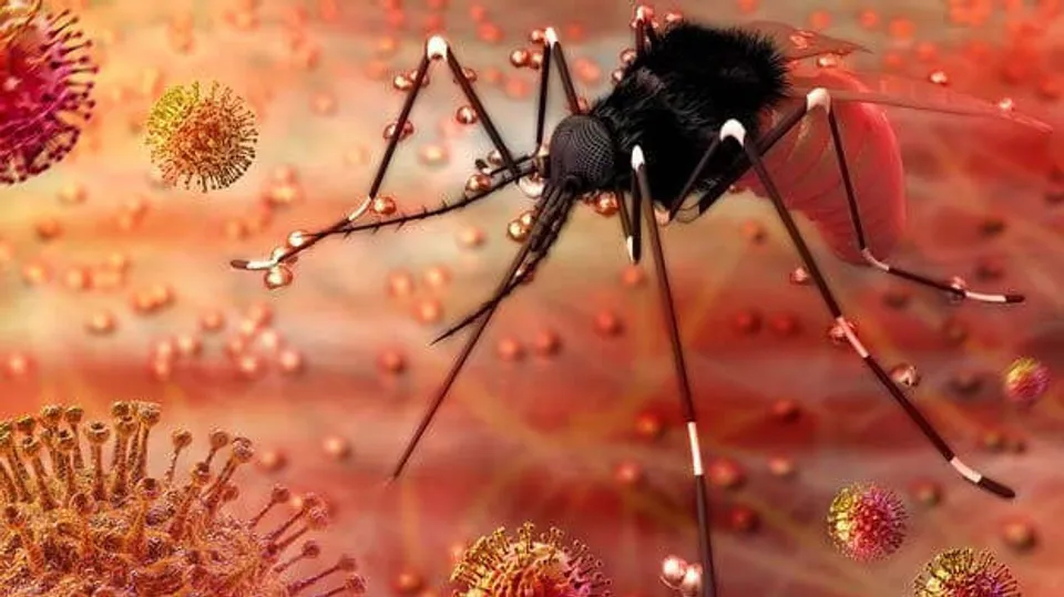 സിക്ക വൈറസ്:  കേരളത്തിൽ നിന്ന് തമിഴ്നാട്ടിലെത്തുന്നവർക്ക് കർശന പരിശോധന;  കന്യാകുമാരി ജില്ലയിൽ പ്രത്യേക നിരീക്ഷണം