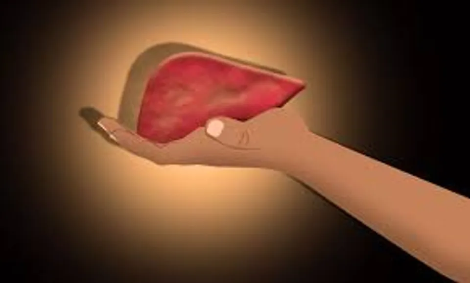 കരളിലുണ്ടാകുന്ന ക്യാന്‍സറിന്‍റെ പ്രാഥമിക ലക്ഷണങ്ങള്‍ എന്തൊക്കെയാണെന്ന് നോക്കാം.. 