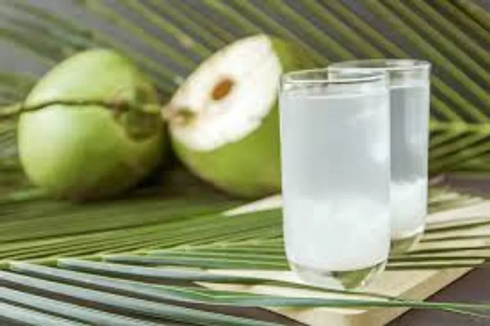 വേനല്‍ക്കാലത്ത് ഫ്രഷ് ആയി നിലനിര്‍ത്താൻ സഹായിക്കുന്ന ചില ഭക്ഷണങ്ങളെക്കുറിച്ച് അറിയാം