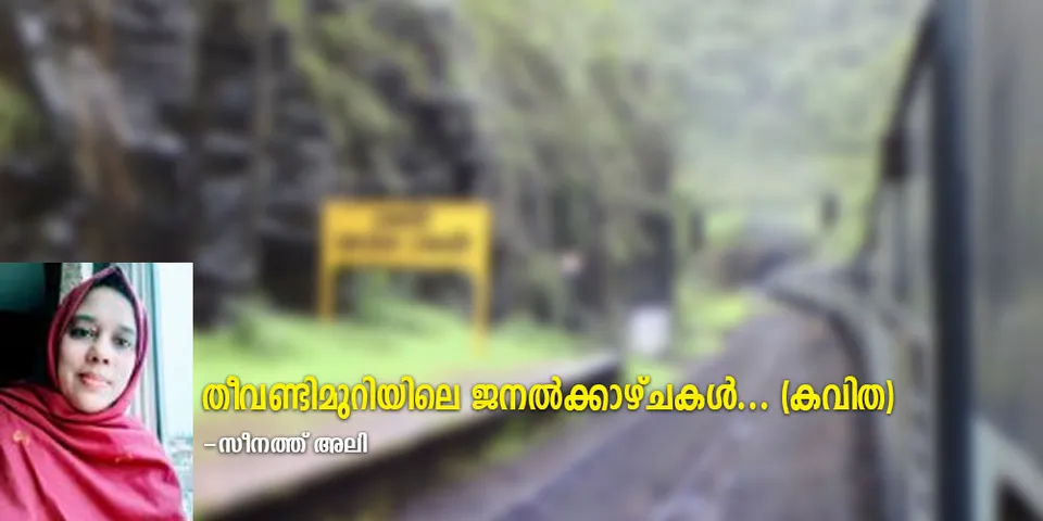 തീവണ്ടിമുറിയിലെ ജനൽക്കാഴ്ചകൾ... (കവിത)