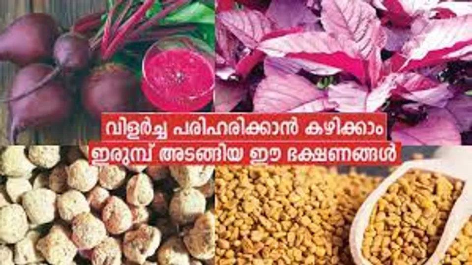 വിളർച്ച പരിഹരിക്കാം… ഉലു​വ, ബീ​റ്റ്റൂട്ട്,  എ​ള്ള്, ചീ​ര എന്നിവ മാറ്റിവയ്ക്കരുതേ…