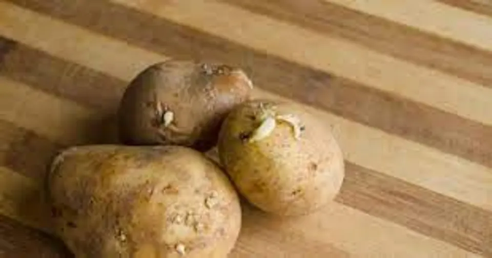 സത്യത്തില്‍ ഉരുളക്കിഴങ്ങ് വണ്ണം കൂട്ടുമോ? എന്താണ് ഈ പ്രചാരത്തിന് പിന്നിലെ യാഥാര്‍ത്ഥ്യമെന്ന് നോക്കാം...