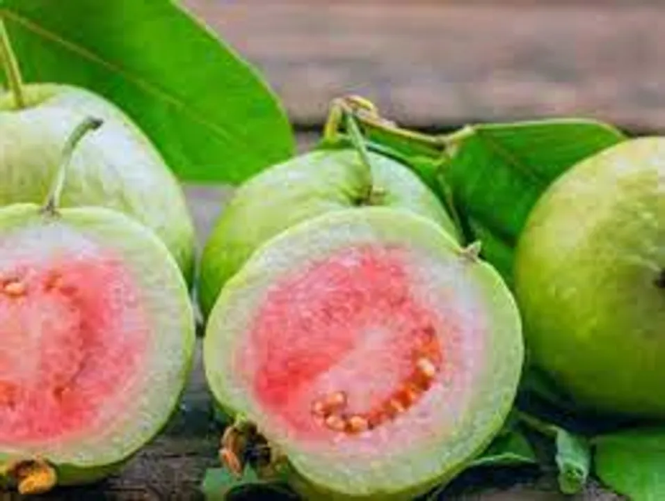 പതിവായി പേരയ്ക്ക കഴിച്ചാലുള്ള ആരോ​ഗ്യ ​ഗുണങ്ങൾ നോക്കാം..