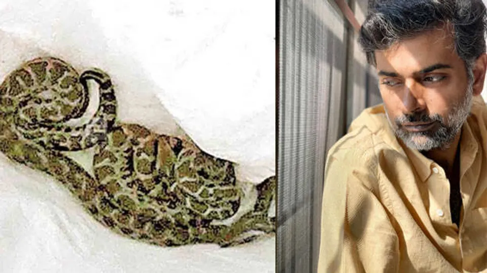 സംവിധായകൻ അൽഫോൻസ് പുത്രന്റെ വീട്ടുമുറ്റത്തു നിന്ന് 16 പെരുമ്പാമ്പിൻ കുഞ്ഞുങ്ങളെ പിടികൂടി