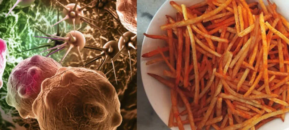 കാൻസർ രോഗത്തെ ചെറുക്കാനുള്ള അത്ഭുത ഔഷധം, എവിടെ നട്ടാലും നല്ല വിളവ് ലഭിക്കും