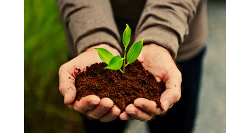 മഹാത്മാഗാന്ധി യൂണിവേഴ്സിറ്റി ഓർഗാനിക് ഫാമിംഗ് കോഴ്സ് ആരംഭിക്കുന്നു