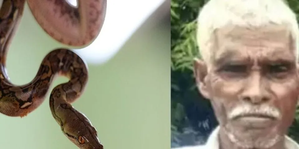 പാമ്പ് കഴുത്തില്‍ ചുറ്റിവരിഞ്ഞു; കിണറ്റില്‍ വീണ മലമ്പാമ്പിനെ രക്ഷിക്കുന്നതിനിടയില്‍ പാമ്പ് പിടുത്തക്കാരന് ദാരുണാന്ത്യം;