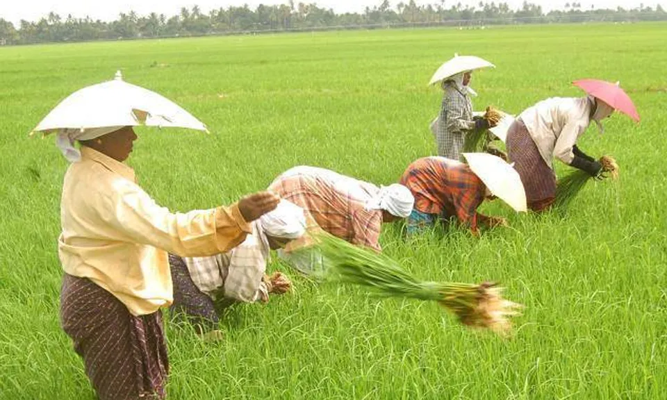 ആദിച്ചനല്ലൂർ ഗ്രാമപഞ്ചായത്തിന്‍റെയും കൃഷിഭവന്റേയും സംയുക്താഭി മുഖ്യത്തിൽ ഓഗസ്റ്റ് 17ന് കർഷക ദിനവും, കർഷകരെ ആദരിക്കലും നടക്കും
