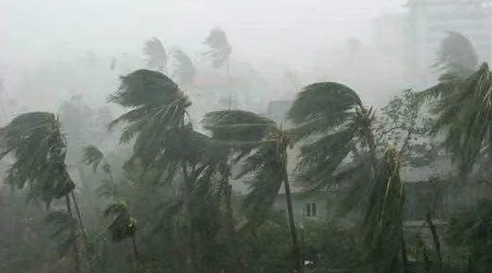 സംസ്ഥാനത്ത് ഇന്നും പരക്കെ മഴയ്ക്ക് സാധ്യത; പ്രത്യേക മുന്നറിയിപ്പുകളില്ല