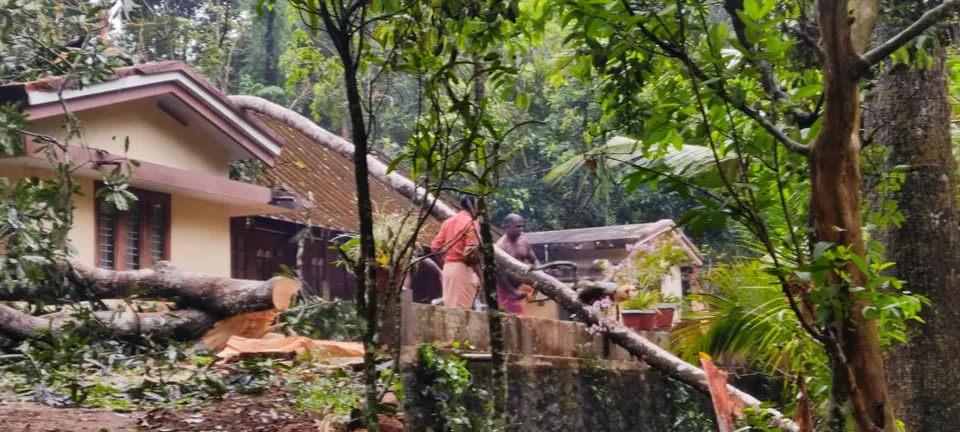 പാലായിൽ പൂവത്തോട് ഉൾപ്പടെയുള്ള ഭാഗങ്ങളിൽ കനത്ത കാറ്റിലും മഴയിലും വൻ നാശനഷ്ടം, വീടുകൾ മരം വീണ് തകർന്നു, വ്യാപക കൃഷി നാശം