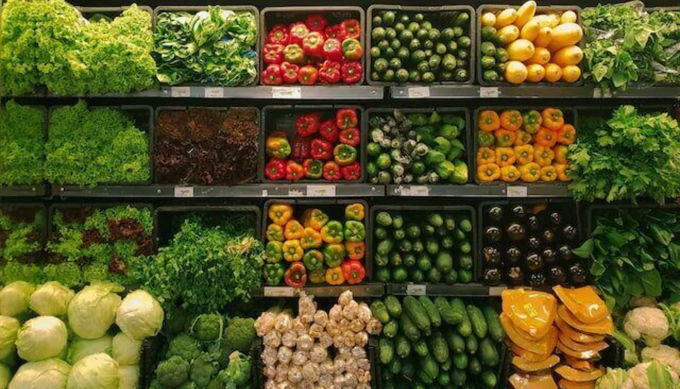 organic food market