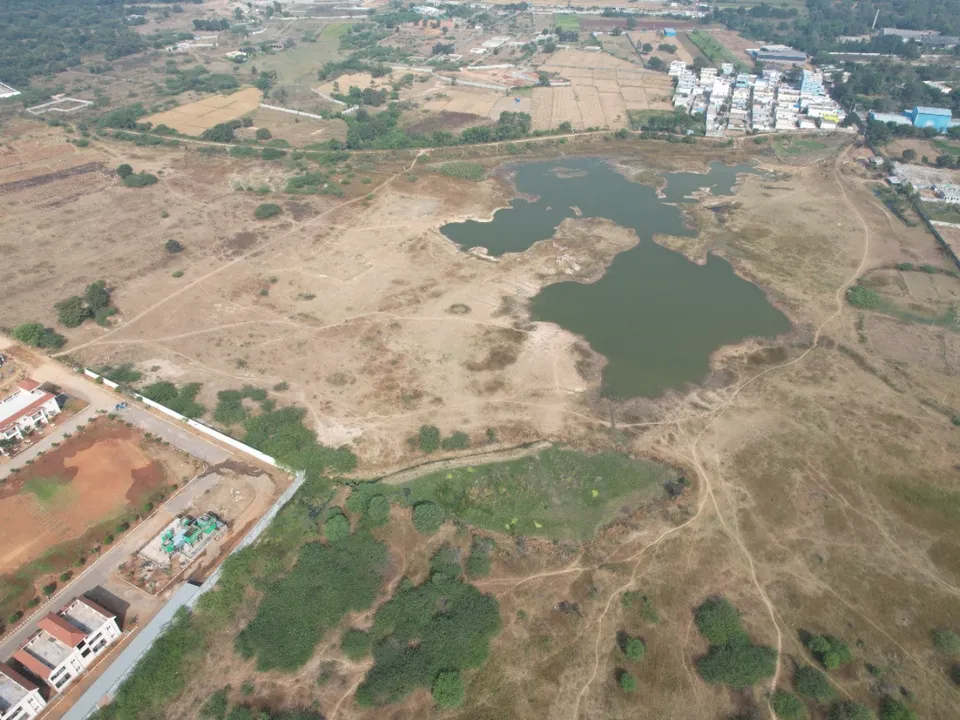 Amazon India Restores Sai Reddy Lake to Boost Water Availability