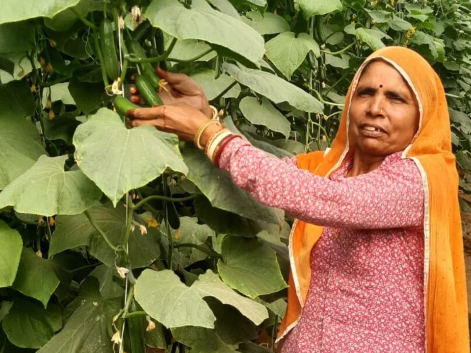 Ambuja Cements Promotes Micro-Irrigation for Farmers in Rajasthan