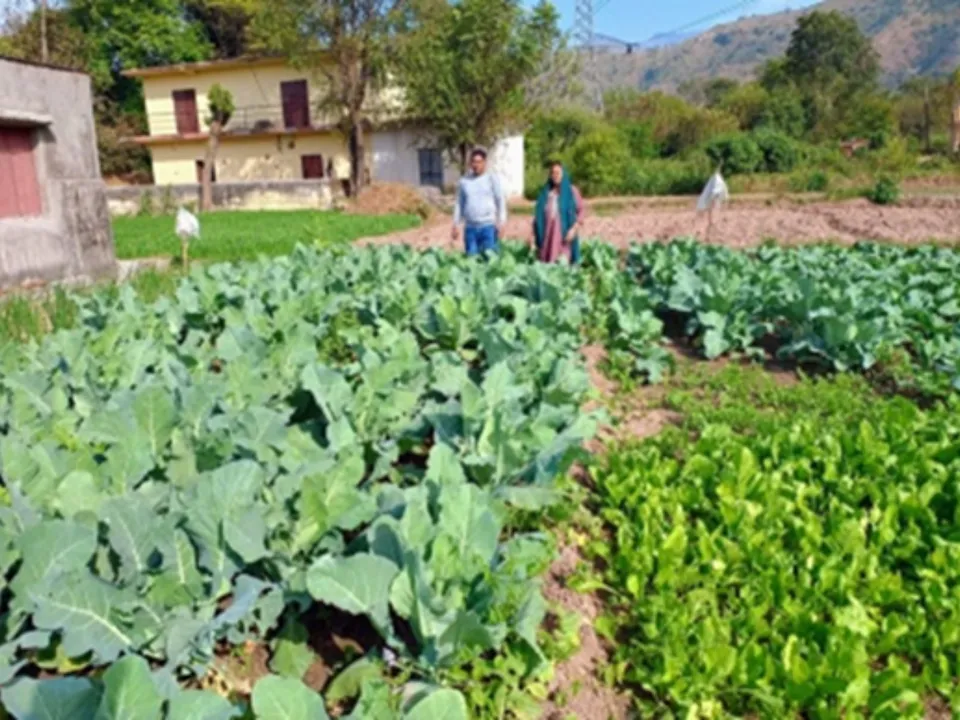 Adani Foundation, ACC Drives Nutrition with Poshan Vatika Initiative in Himachal