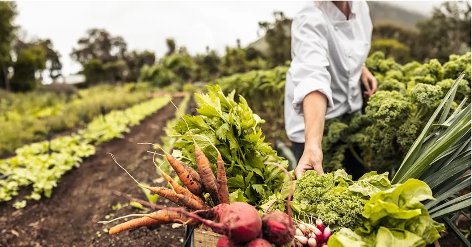 Greenhouse Gas Emissions From Agriculture: Problems And Solutions