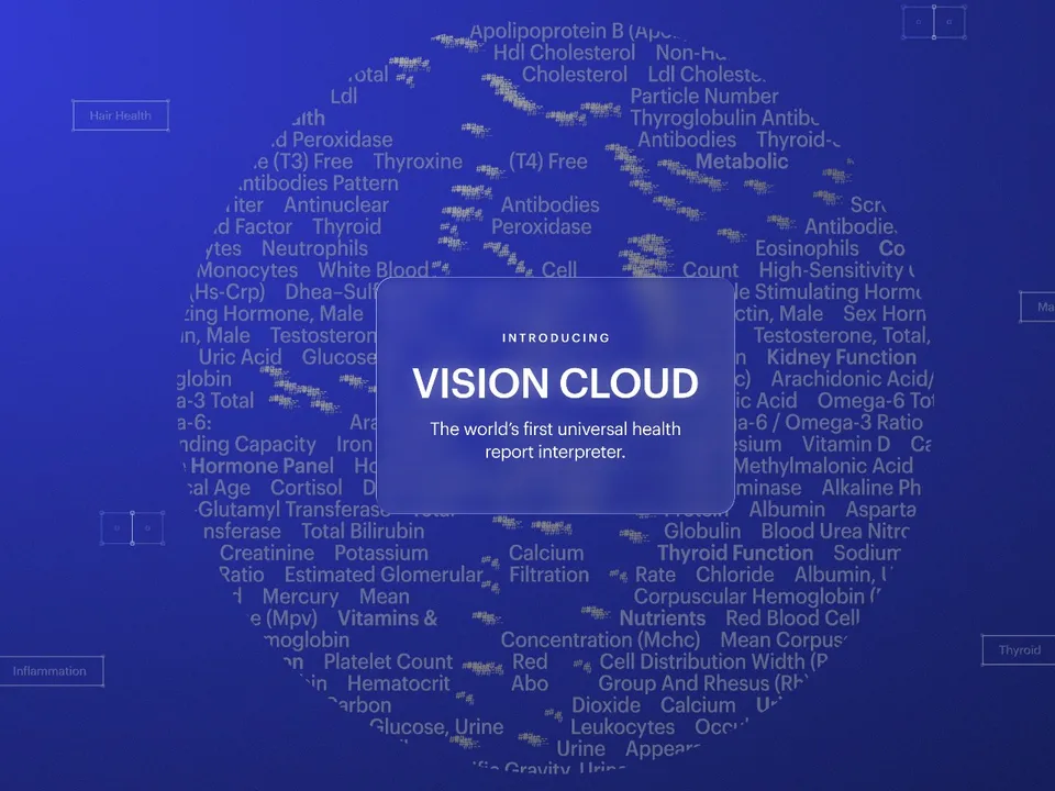 Vision Cloud 1