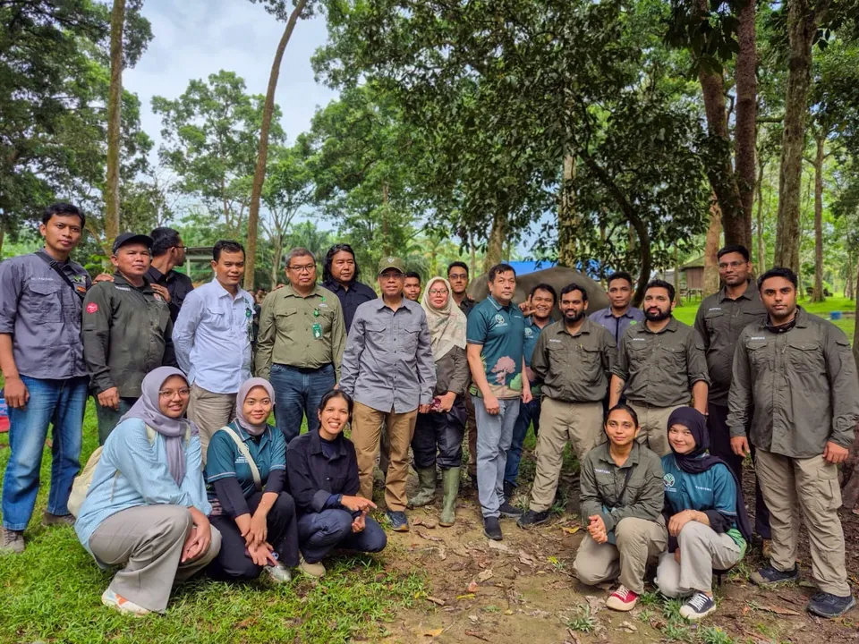 Vantara Partners Indonesia to Address EEHV Threat to Elephants