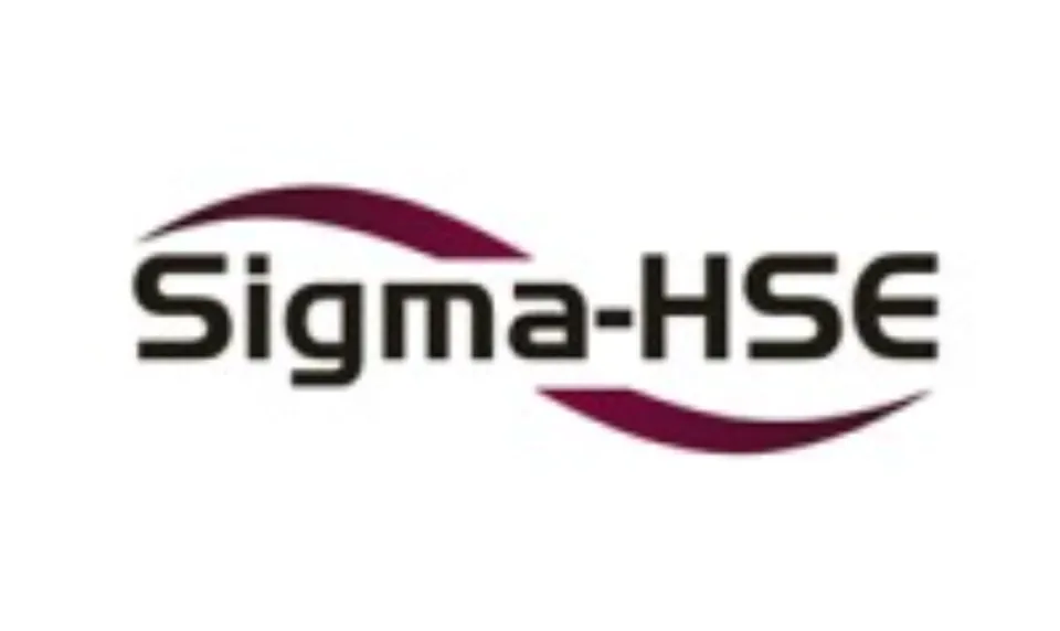 Mr. Naresh Kumar, CEO, Sigma - HSE India
