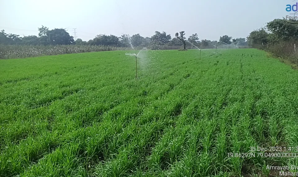 ACC and Adani Foundation 