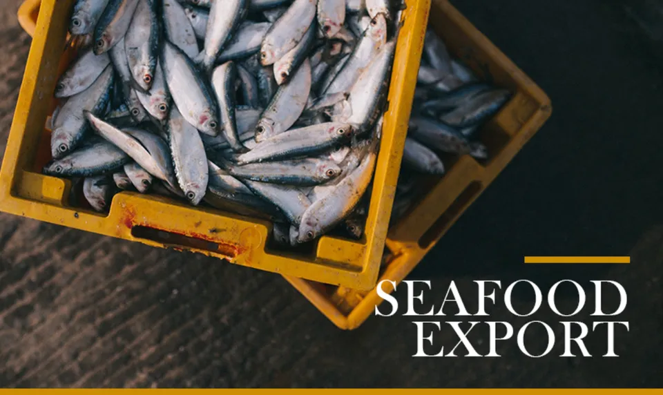 Seafood Export
