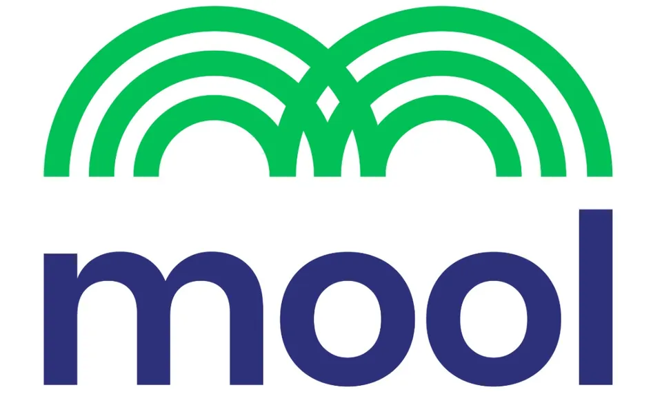 Mool AI