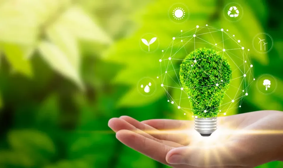 Indian Energy Sector Adopts RISE With SAP for Sustainability