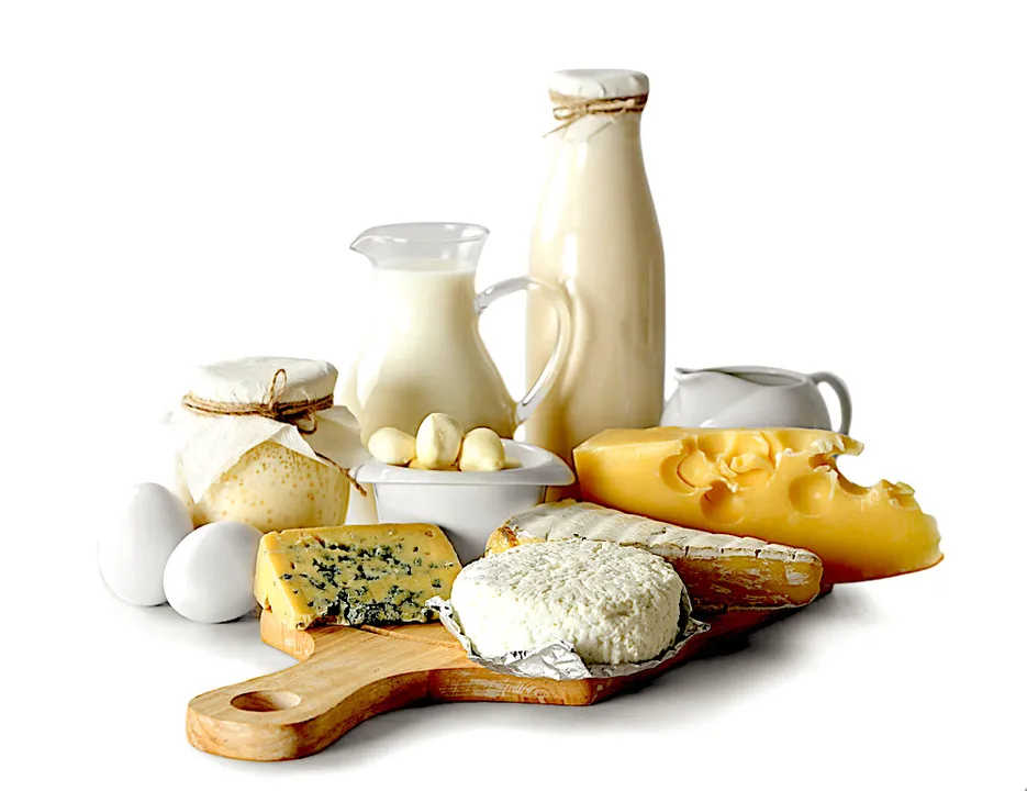 Milk Based Products, Food Processed, INterested Subvention Scheme