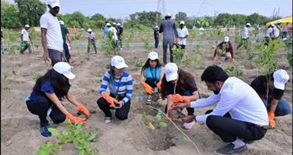 Coforge Plantation, Noida