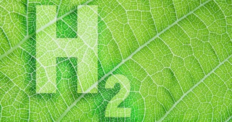 NTPC, Green Hydrogen Pilots, G20 Summit