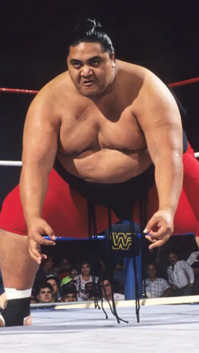 Yokozuna
