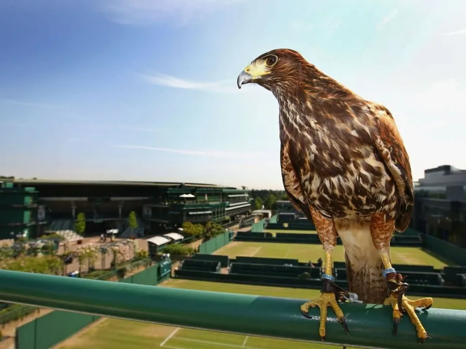 Untitled design (20)