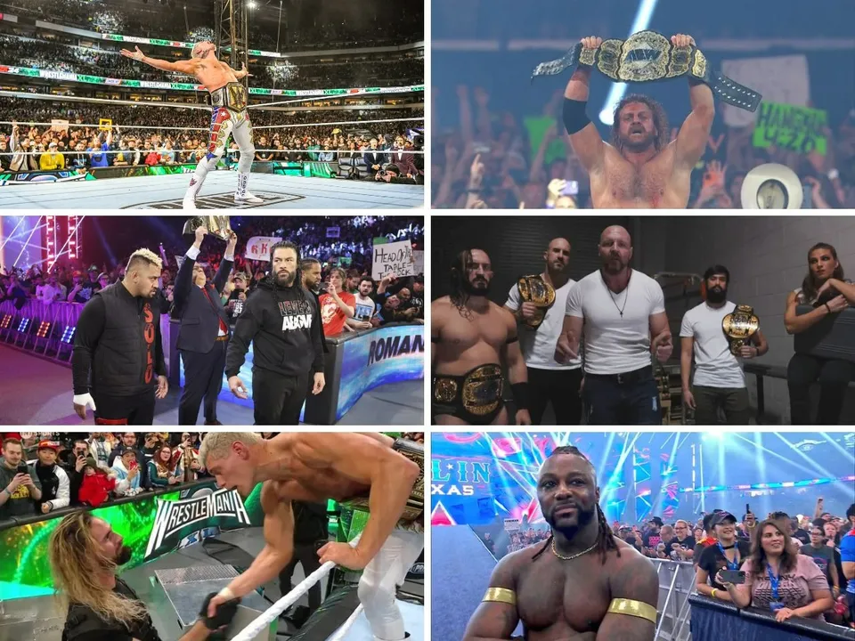 Untitled design (31)