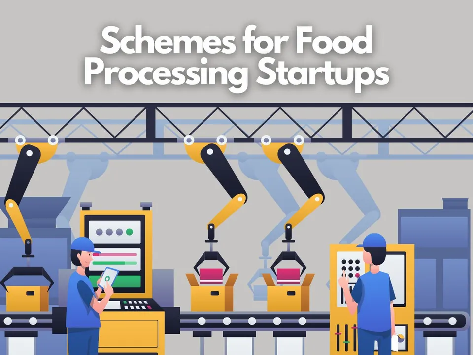 Boosting Food Processing: How Govt Schemes Empower Entrepreneurs?