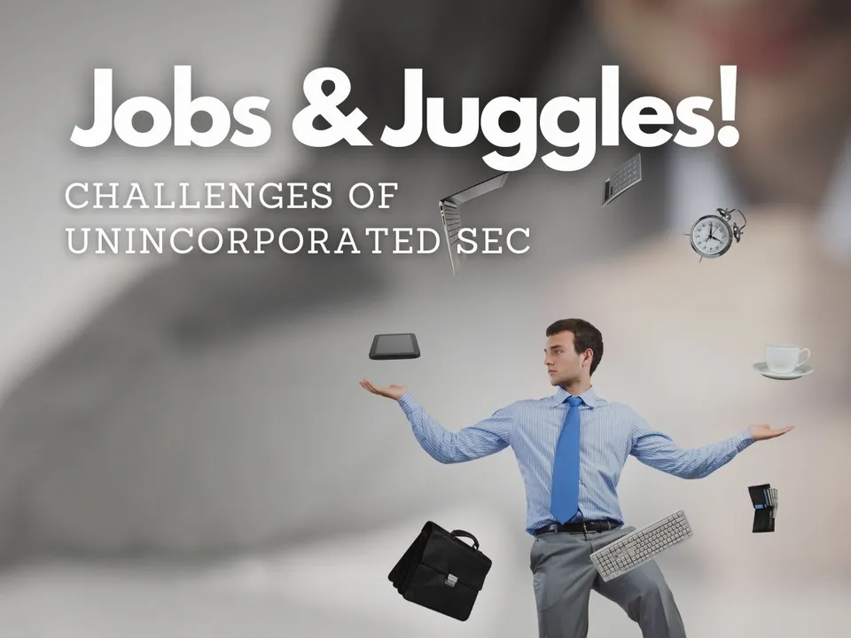 The Unincorporated Sector: A Complex Tale of Job Creation & Resilience