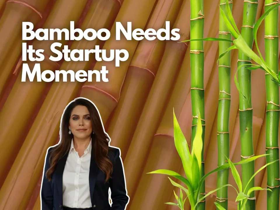 Can India Build the Next Amul Out of Bamboo