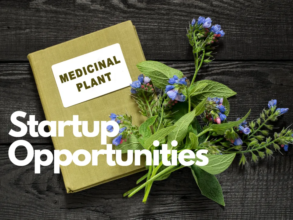 Startup Opportunities in Medicinal Properties 