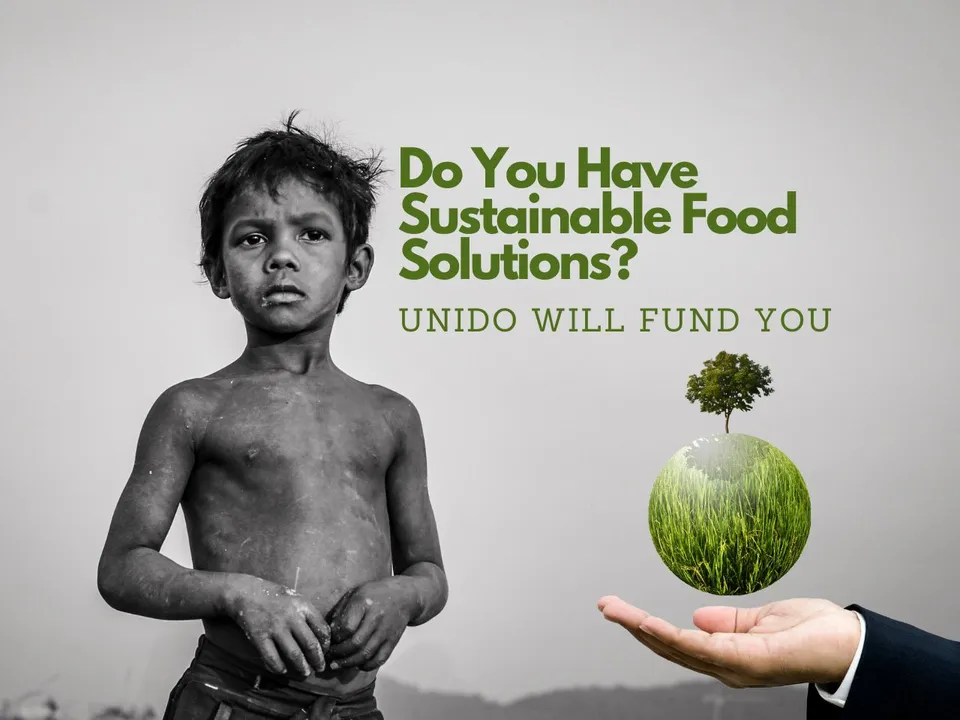 UNIDO Sustainable Food Startups